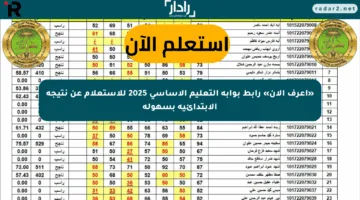 «اعرف الآن» رابط بوابة التعليم الأساسي 2025 للاستعلام عن نتيجة الابتدائية بسهولة